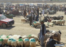 La gente con los corderos para la fiesta del sacrificio La gente con los corderos para la fiesta del sacrificio