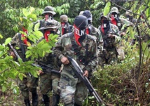 Guerrilleros del ELN Guerrilleros del ELN
