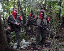 Guerrilleros del ELN Guerrilleros del ELN