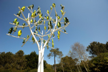 El árbol de viento