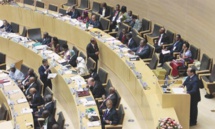 Lucha contra Boko Haram: Unión Africana por una fuerza de 7.500 efectivos Lucha contra Boko Haram: Unión Africana por una fuerza de 7.500 efectivos