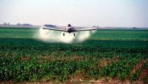 Un avión tira glifosato Un avión tira glifosato