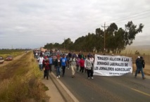 Los jornaleros marchan hacia San Quintín