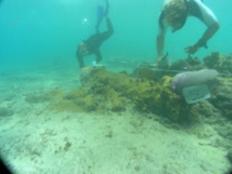 Descubren en Madagascar posible tesoro de un célebre pirata Descubren en Madagascar posible tesoro de un célebre pirata