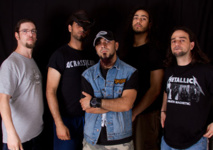 Acrassicauda Acrassicauda