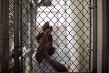 Asociación de psicólogos de EEUU legitimó programa de torturas del gobierno Asociación de psicólogos de EEUU legitimó programa de torturas del gobierno