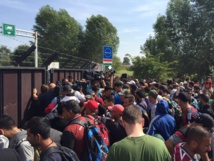 Inmigrantes en la frontera entre Serbia y Hungría Inmigrantes en la frontera entre Serbia y Hungría