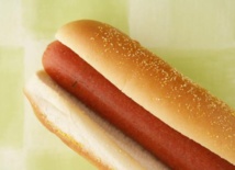 Hot dog o perrito caliente Hot dog o perrito caliente