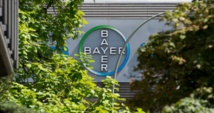 Juicio contra Bayer en Alemania por sus píldoras anticonceptivas Juicio contra Bayer en Alemania por sus píldoras anticonceptivas