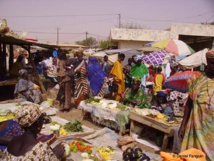 Mercado en el pueblo de Matam