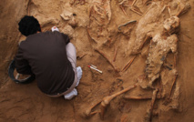 Una fosa de republicanos asesinados en Puerto Real, Cádiz, España. Una fosa de republicanos asesinados en Puerto Real, Cádiz, España.