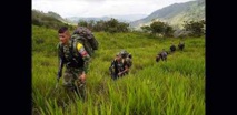 Guerrilleros de las FARC