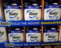 El pesticida de Monsanto, el Roundup, que contiene glifosato El pesticida de Monsanto, el Roundup, que contiene glifosato
