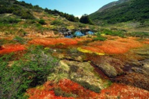 Isla Navarino