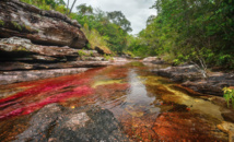 Caño Cristales