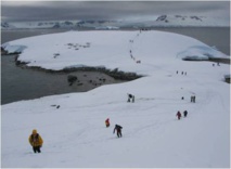 Turistas en la Ántartida Turistas en la Ántartida