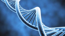 Científicos revelan un proyecto para crear un genoma humano sintético Científicos revelan un proyecto para crear un genoma humano sintético