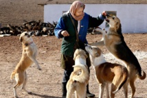 Irán contra los perros, símbolo de la "vulgar cultura occidental"