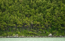 La reserva costera Valdiviana La reserva costera Valdiviana