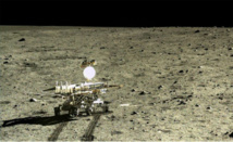 El conejo de jade El conejo de jade