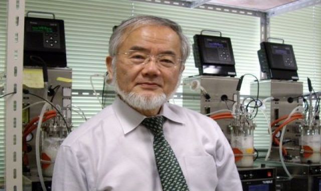 Yoshinori Ohsumi