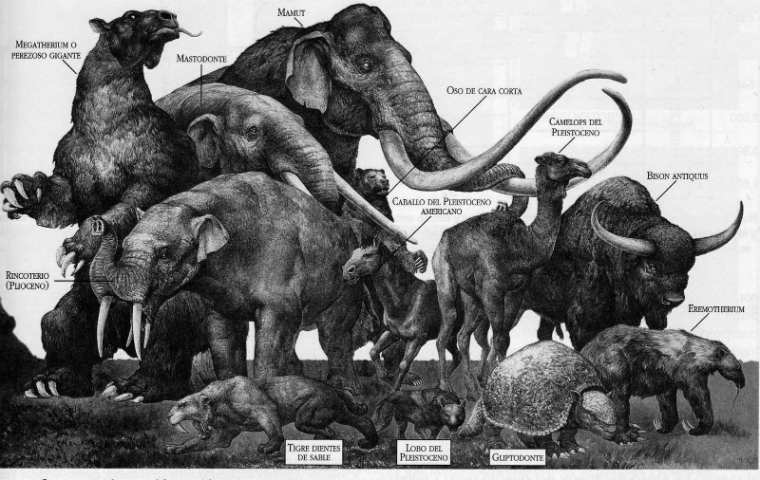 Un dibujo de la megafauna del Pleistoceno