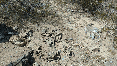 Las prendas en el arroyo del navajo