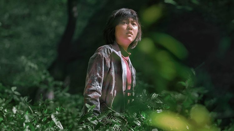 Una escena de la película Okja de Bong Joon Ho