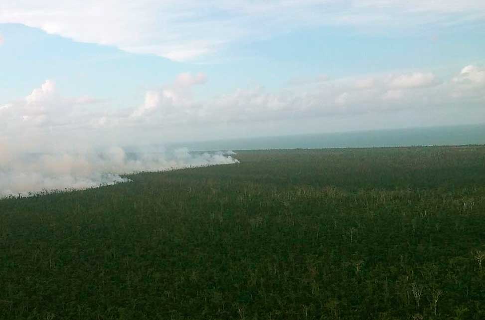 Gobierno de Nicaragua anuncia que acabó incendio en reserva biológica