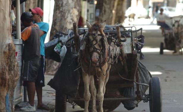 Uno de los carros que recogen la basura, en Uruguay