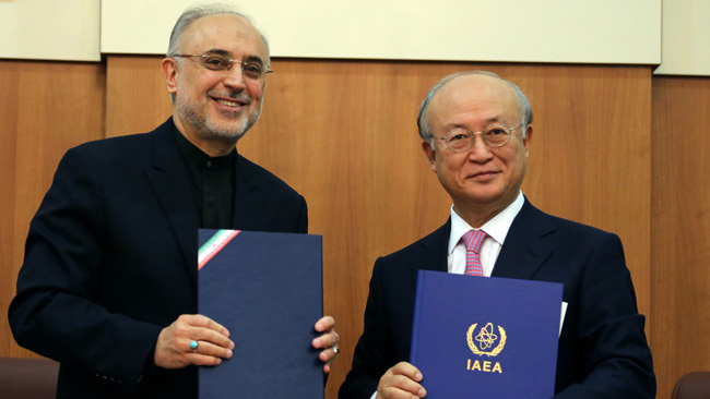 Un representante iraní junto al director de la AIEA