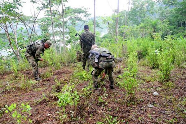 Principales puntos del acuerdo sobre drogas de FARC y Bogotá