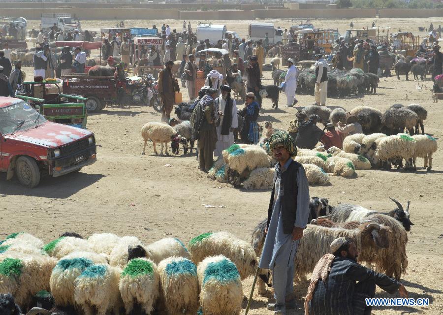 La gente con los corderos para la fiesta del sacrificio