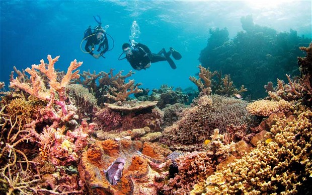 La degradación de la Gran Barrera de Coral amenaza la identidad aborigen