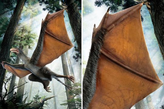 Yi qi, un minidinosaurio con alas de murciélago