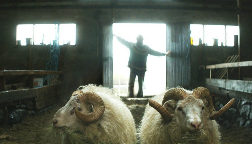 Filme islandés gana el premio Una Cierta Mirada en Cannes