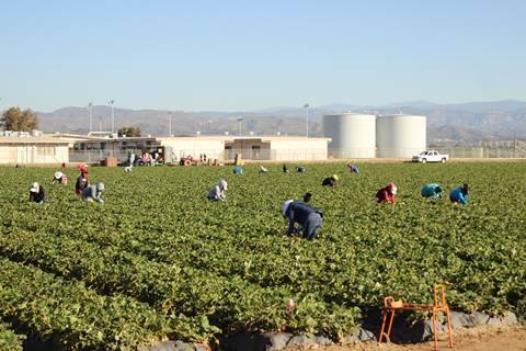 California aprueba nuevas leyes para integrar a los inmigrantes