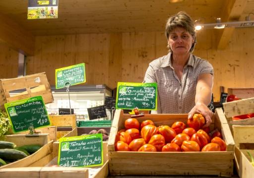 Agricultores franceses se unen para plantar cara a los hipermercados Agricultores franceses se unen para plantar cara a los hipermercados