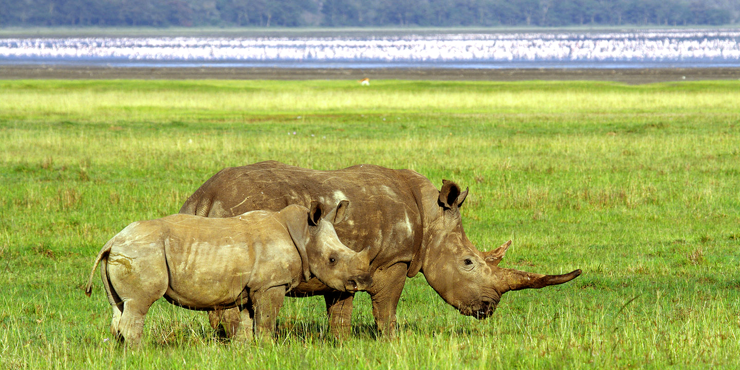 La reserva de Samburu en Kenia