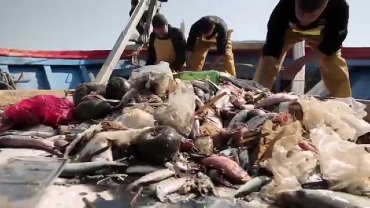 Pescadores recogiendo el plástico