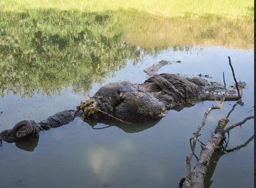 El cadáver de una mujer hallado en el canal de Ecatepec