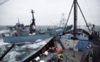 Balleneros japoneses anuncian acuerdo con ONG Sea Shepherd