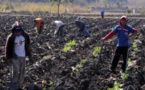 FARC denuncia "genocidio" en marcha contra líderes sociales en Colombia