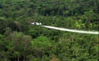 Colombia inició fumigación manual con glifosato contra cultivos de coca