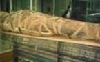 Detenido un profesor australiano con dos momias egipcias de 2.000 años de antigüedad en el equipaje