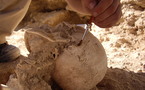 Descubren la mayor sepultura prehistórica de España