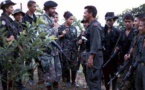 FARC y ELN se reunirán en Cuba para intercambiar experiencias de paz