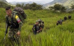 Más de 7.000 miembros de las FARC han recibido amnistías en Colombia