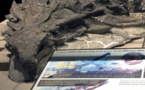 El anquilosaurio se defendía con un camuflaje especial