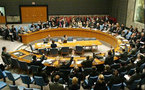 Consejo de Seguridad tratará informe de ONU sobre operación israelí en Gaza